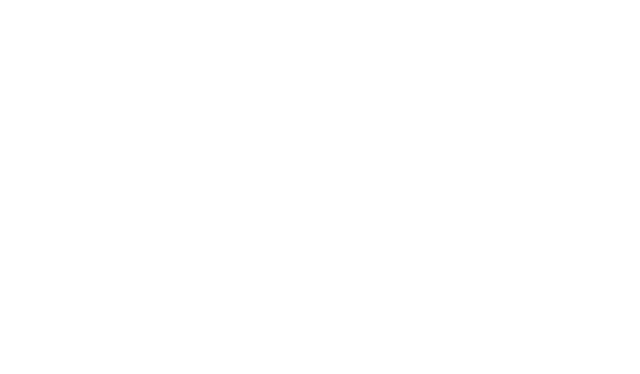 Mountain View Animal Hospital - Canton, GA Veterinary Care