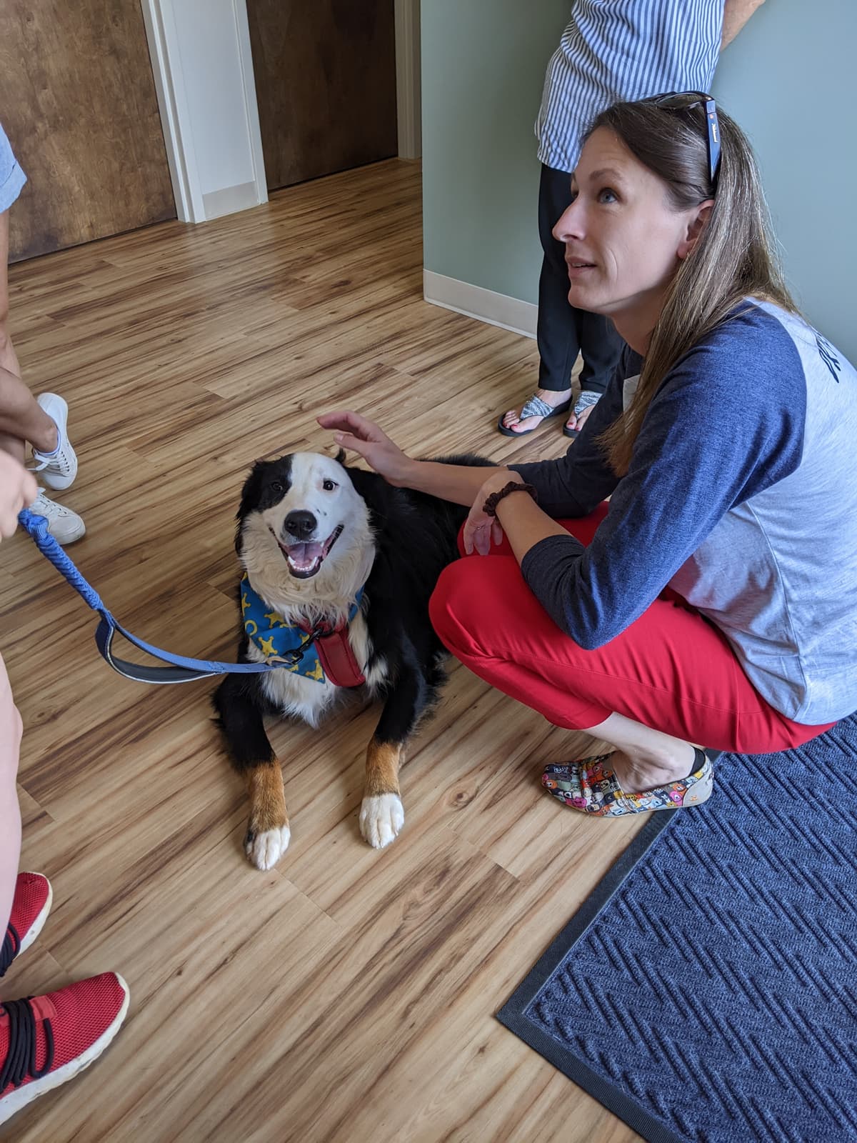 Mountain View Animal Hospital